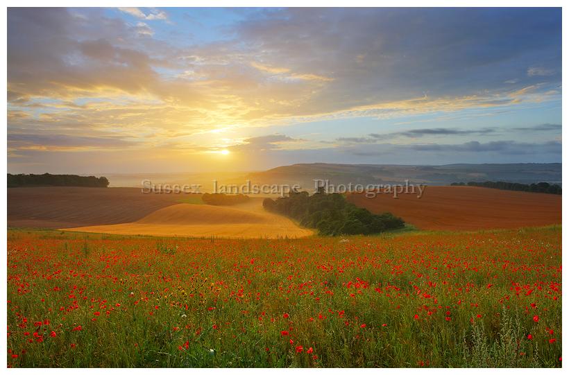 slides/Poppy Field Sunrise.jpg sunrise, poppies,south downs national park,amberly,houghton,bury hill,mist,clouds Poppy Field Sunrise